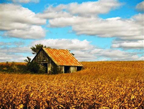 Kansas Corn Field Visit Atchison
