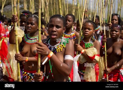 Zulu Doncellas Entregar Reed Palos Al Rey Zulú De Baile En Palacio Enyokeni Reed Nongoma