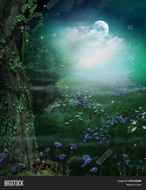 Enchanting Fairy Image And Photo Free Trial Bigstock