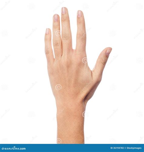 Back Side Of A Woman Hand Stock Photography Image 36194782