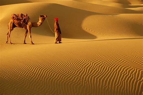 Rajasthan Camel Safari Tour Book Camel Safari Holidays