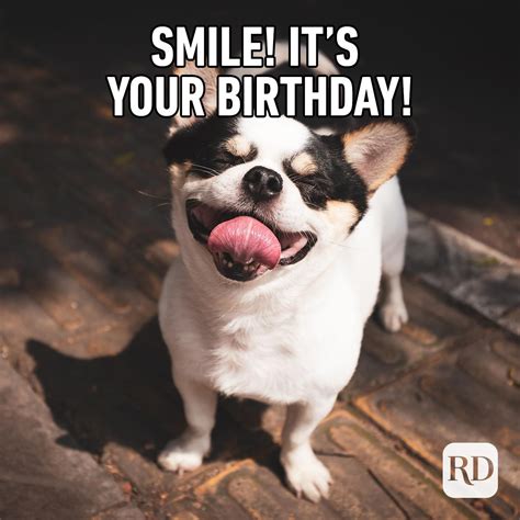 Funny Birthday Memes That Will Make Anyone Smile On Their Big Day