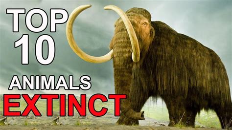 Top 10 Most Amazing Extinct Animals Images And Photos Finder
