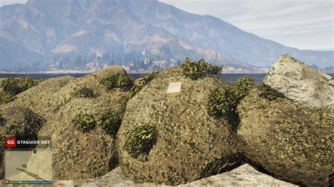 I am an amateur thclipsr and avid gamer. Treasure Hunt in GTA Online — How to Find a Double-Action ...
