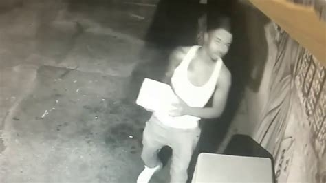 Wilton Manors Vandal Caught On Camera Youtube