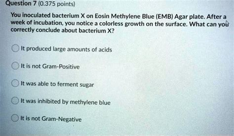 Solvedquestion 7 0375 Points You Inoculated Bacterium X On Eosin