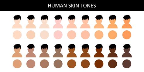 Human Skin Tones Human Skin Tones Various Body Skin Color Vector