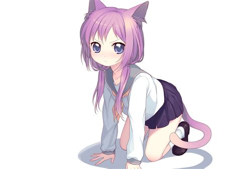 Cat Girls Anime Girls Nekomimi Big Eyes Look Anime Wallpaper