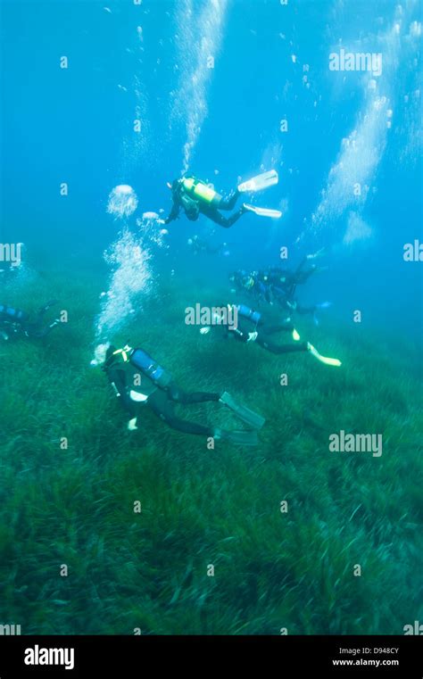People Scuba Diving Stock Photo Alamy