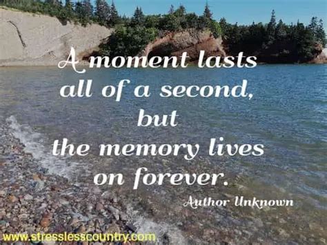 124 Memories Quotes Remembrances Of Days Gone By