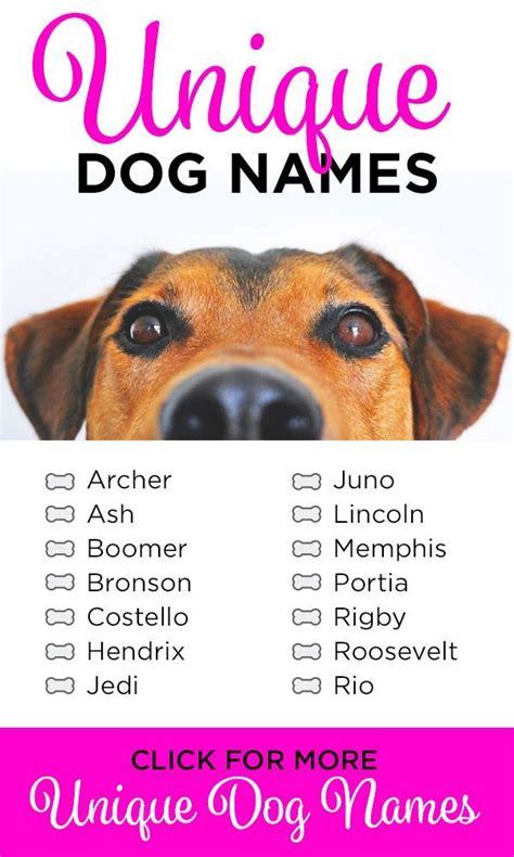 315 Unique Dog Names My Dogs Name Dog Names Girl Dog Names