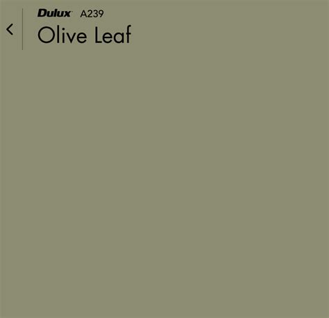 Olive Leaf Entryway Feature Wall Feature Wall Living Room High
