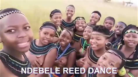 reed dance zulu sotho swazi ndebele youtube