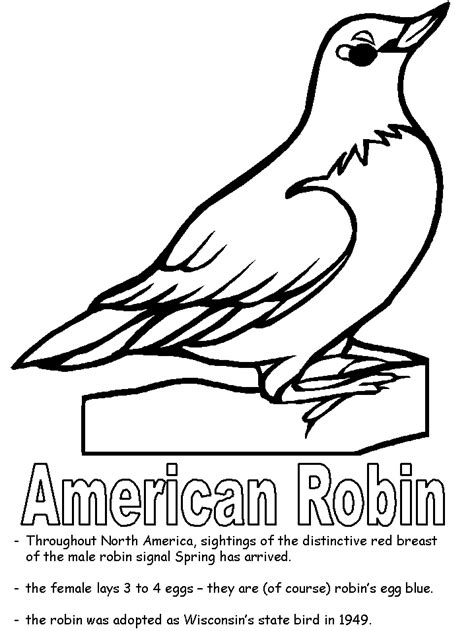 Hey there folks , our latest update coloringsheet that you canwork with is american robin bird coloring page, posted in robincategory. American Robin coloring page