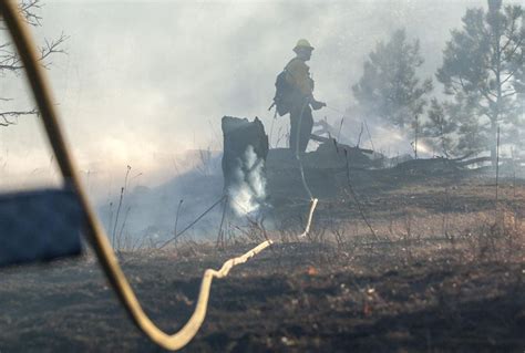 Wolf Fire Reaches 5000 Acres Is 70 Percent Contained Local