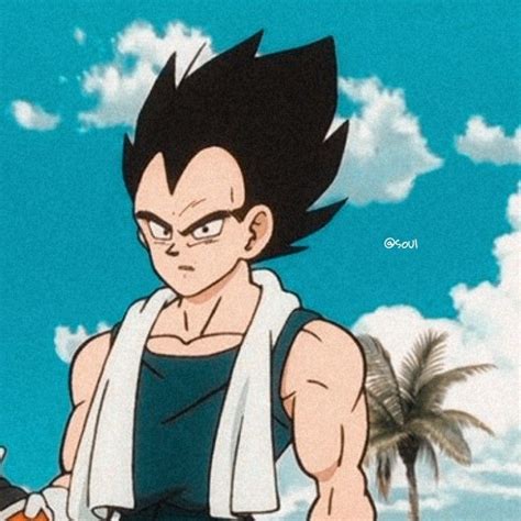 Dragon Ball Matching Pfp