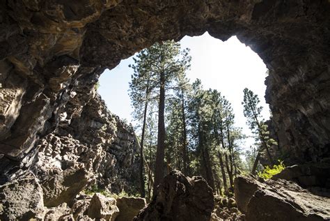 Hidden Forest Cave Outdoor Project