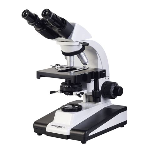 Microscope Png Image Purepng Free Transparent Cc0 Png