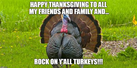 thanksgiving turkey imgflip