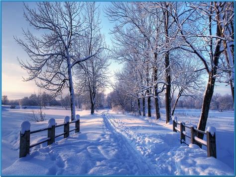 Snowy winter screensaver mac - Download free | Winter landscape, Winter scenery, Winter pictures