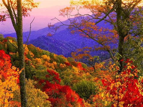 Mountains Fall Pictures Autumn Scenes Beautiful Fall