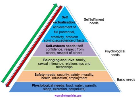 The Five Basic Human Needs Wholeness Bliss