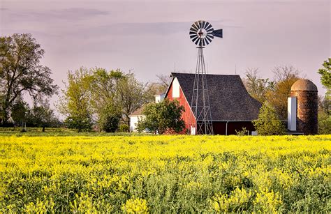 Wallpaper Barn Windmill Silo Field Trees Yellowflowers Farmland