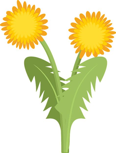 Free Printable Dandelion Clip Art