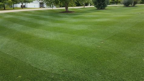 ✦purchase of full lawn plan required for healthy lawn analysis, which for properties more than 1 acre, please call for estimate. What's your 1/2 acre to 1 acre mower? - The Lawn Forum