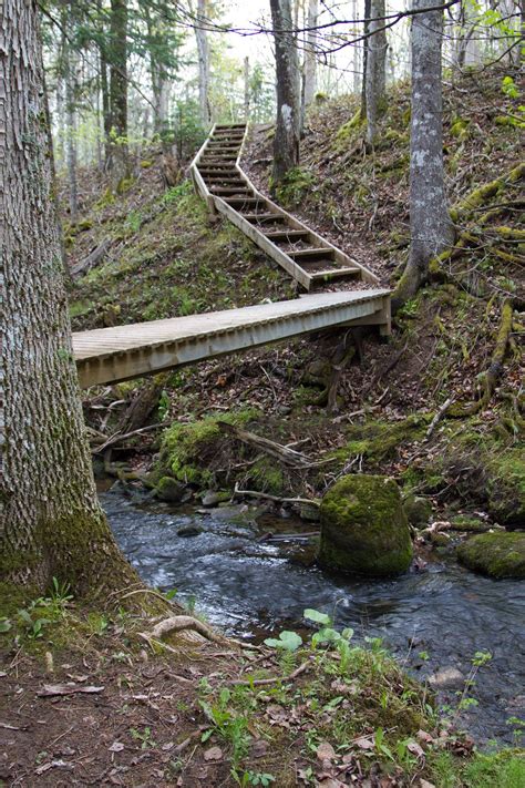 Fairmont Ridge Hiking Trail Coastal Nova Scotia