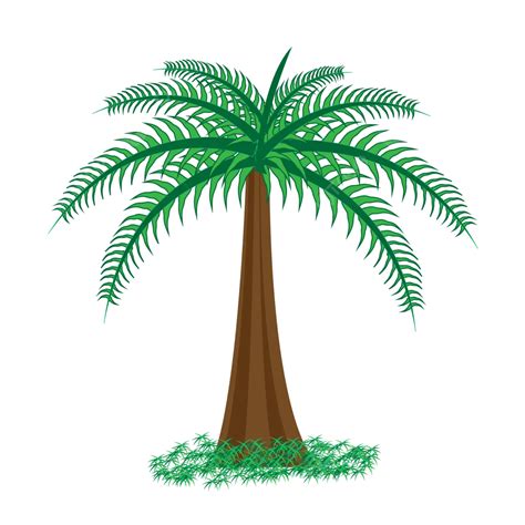 Palm Tree Vector Palm Tree Top Palm Tree Art Palm Png And Vector