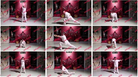 Shaolin Qigong Yi Jin Jing Muscle Tendons Revitalising Eshoptrip