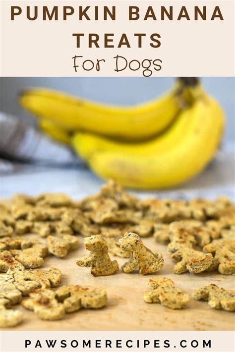 Pumpkin Banana Dog Treats Recipe Banana Dog Treat Recipe Dog