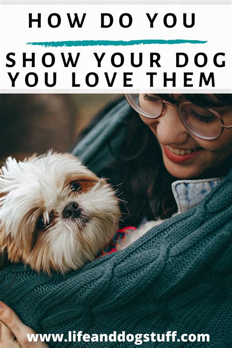 How Do You Show Your Dog You Love Them Dogs Doglovers Dogtips Cute