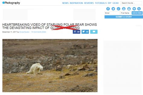 National Geographic Admits They Went Too Far Linking A Starving Polar