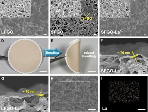 Membrane Characterization A To C Fesem Images Comparing The Upper