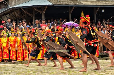 Gambar Kebudayaan Suku Dayak Kalimantan Timur Kostum