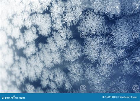 Snowflake Macro Photo Of Real Snow Crystal Stock Image Image Of