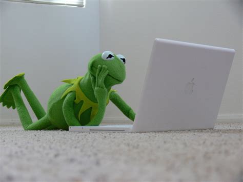 Does Kermit The Frog Do Twitter Or Facebook For That Matter Funny
