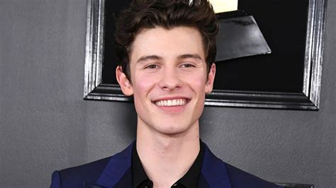 shawn mendes poses in his underwear for new calvin klein modeling campaign entertainment tonight