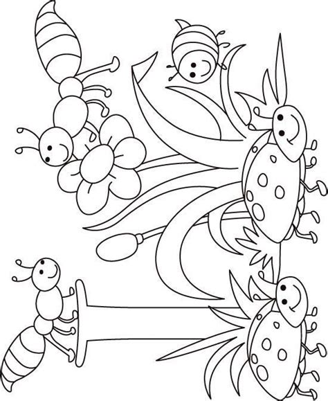 Free Insect Coloring Pages For Preschoolers