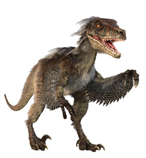 Learn About The Velociraptor One Of Jurassic World S Main Dinosaurs