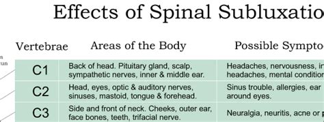 ans and effects of spinal subluxation poster 18 x 24