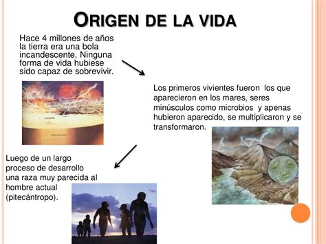 Teorias Del Origen De La Vids Ayala