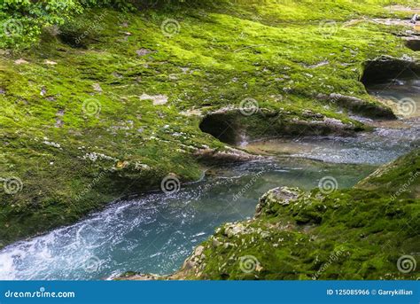 Small Mountain River Flowing Through The Green Forest In Stone Bed