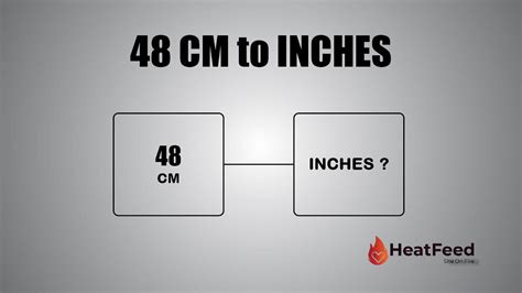48 Cm How Many Inches Crookspic