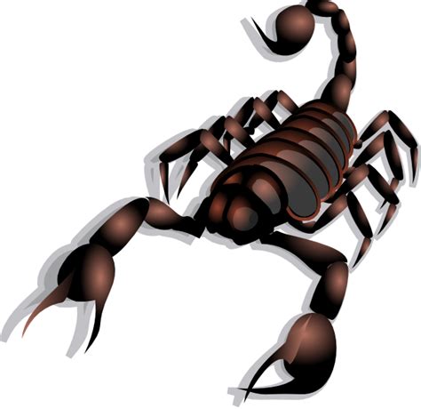 Scorpion Clip Art At Vector Clip Art Online Royalty Free
