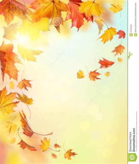 Fallende Blätter Des Herbstes Stockbild Bild Von Element Bunt 27315451