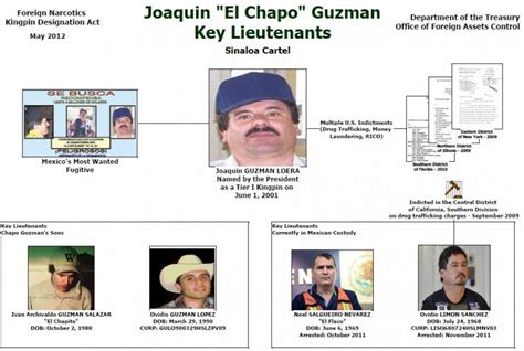 drug cartel hierarchy