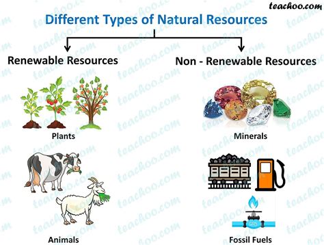 Types Of Natural Resources With Examples Teachoo Concepts